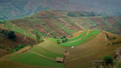 Terasering Panyaweuyan Majalengka
