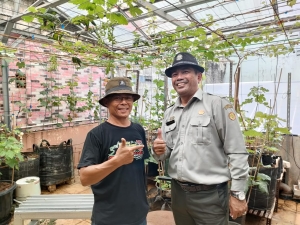 Bersama Pak Yuno Petani Anggur